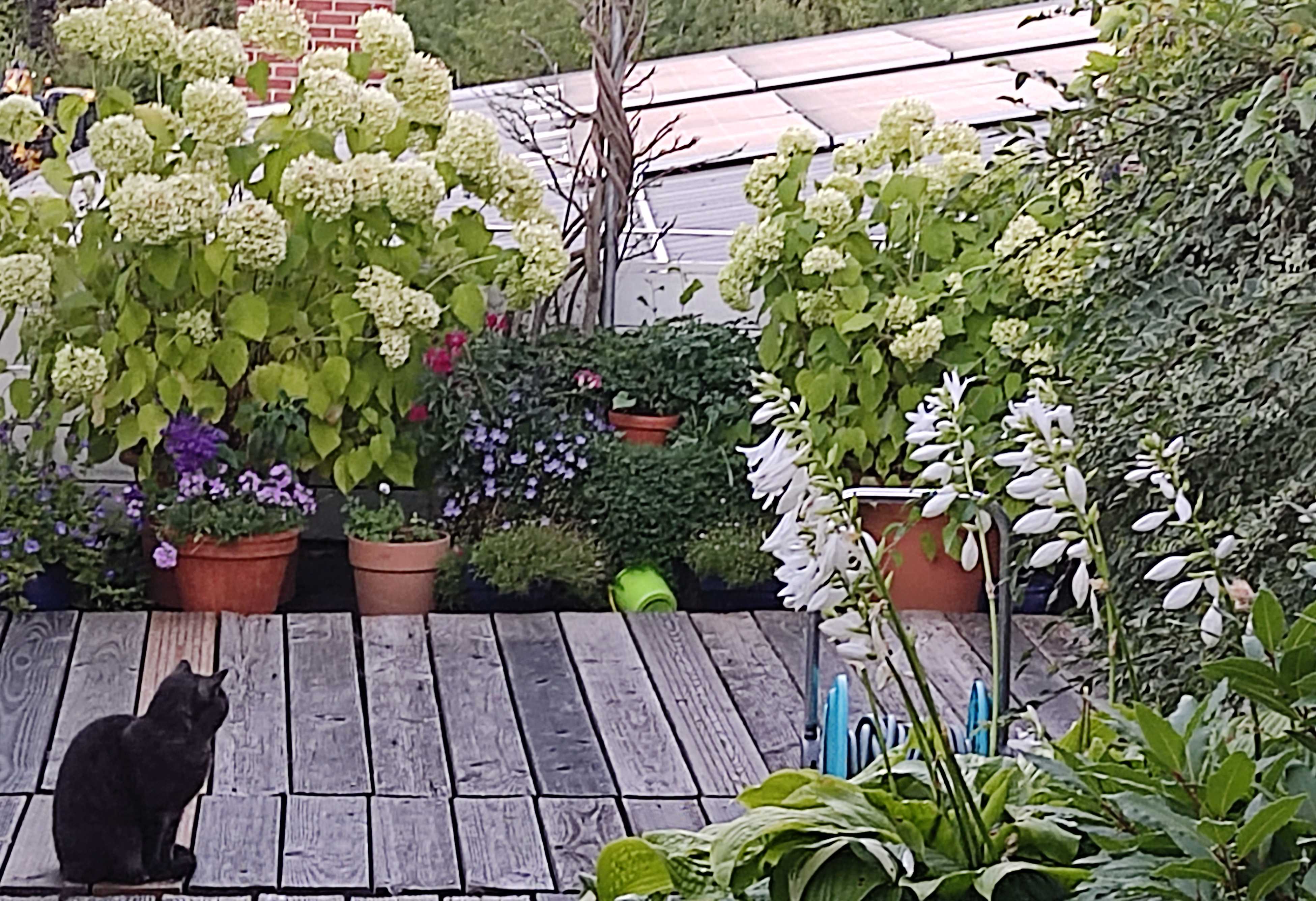 PV Anlage in Blieskastel